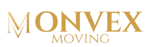 MONVEX, копия (1)